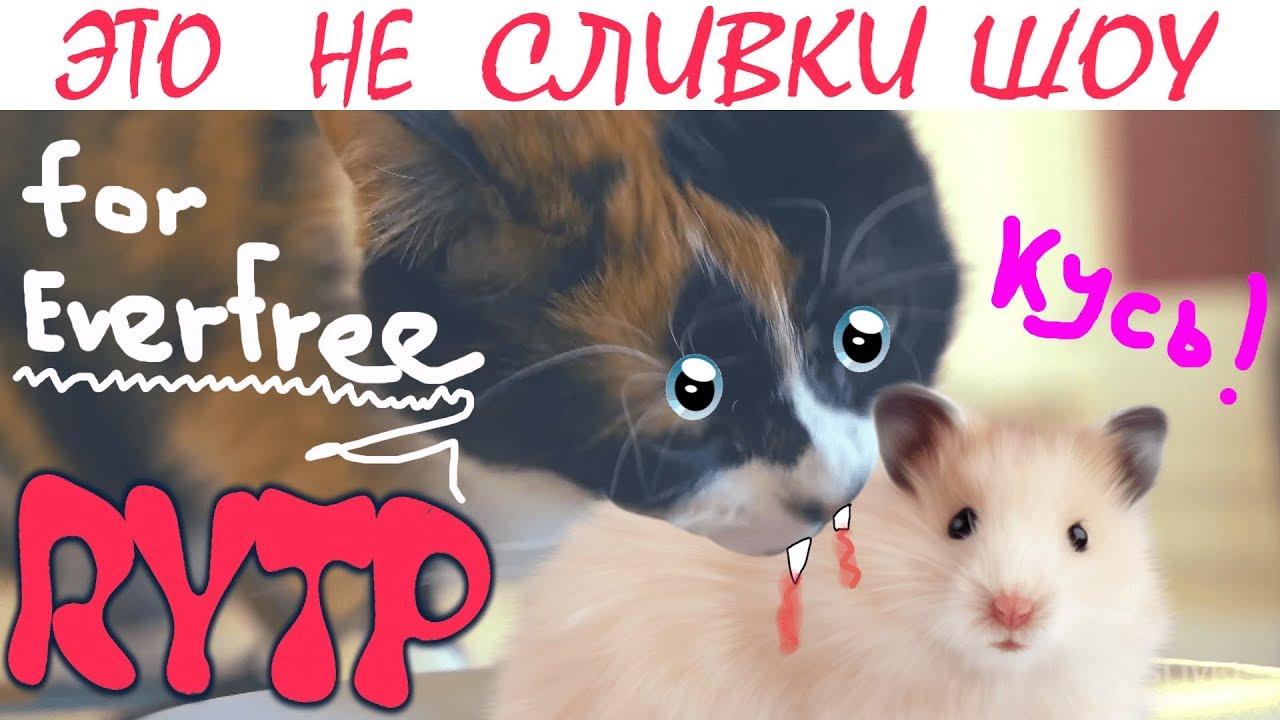 ЭТО НЕ СЛИВКИ ШОУ //RYTP