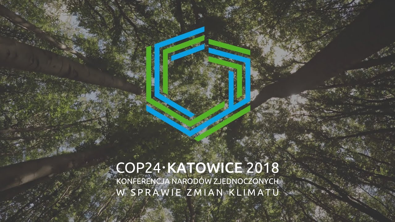 COP24. Jak Lasy Państwowe zr&oacute;wnoważą ślad węglowy?