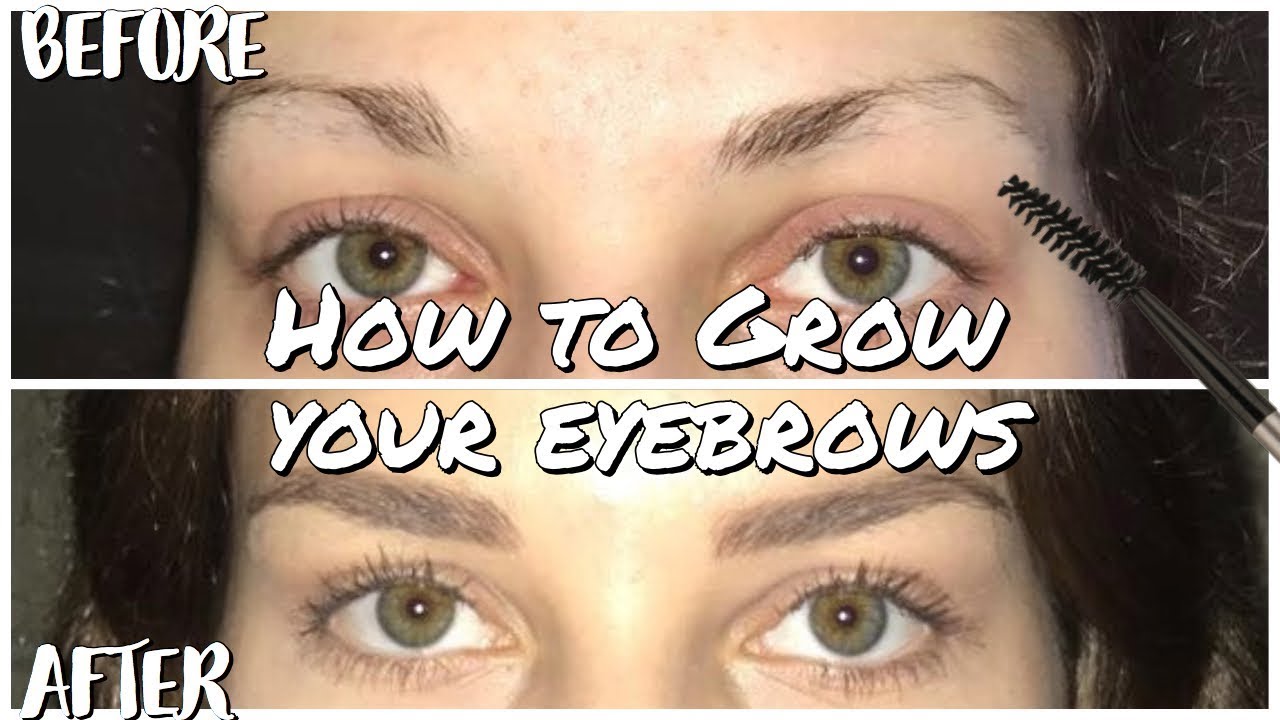 How to Grow and Shape your Eyebrows // My Eyebrow Transformation | Tarrah Hodge