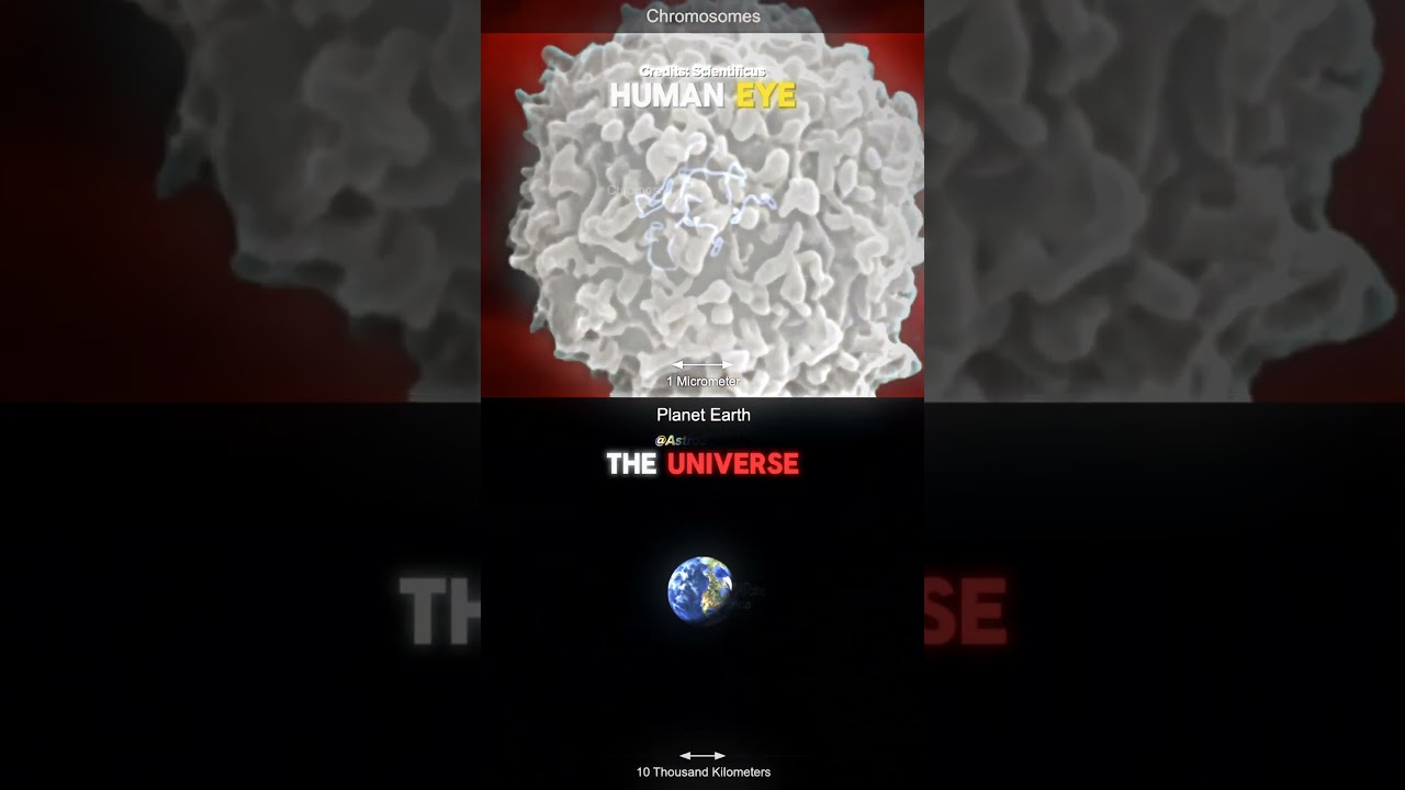 Zoom in/out comparison | Human Eye ☠️ vs The Universe 🌌 