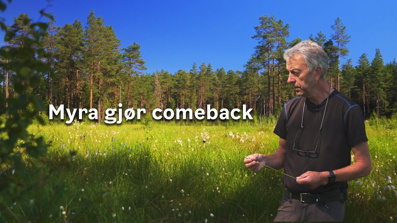 Myra gjør comeback i Lillomarka