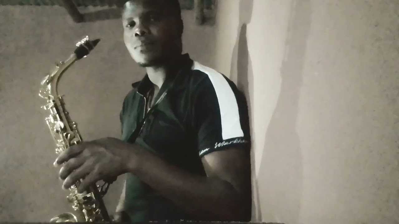 Zahara Phendula saxophone cover