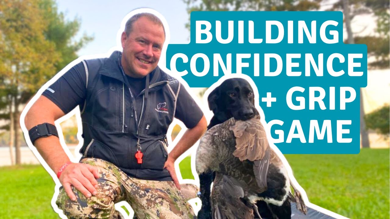 Confidence Building Game for a Dog With a Soft Mouth | Advanced NePoPo® Training Session