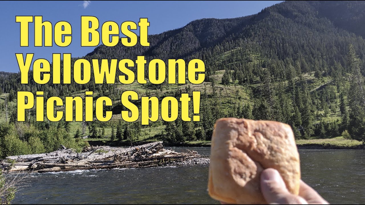Yellowstone's Best Picnic Area! Shoshone River Picnic Area!