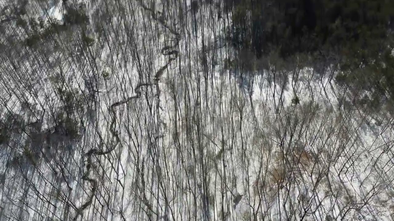 feb 1 - creeks #3-#5