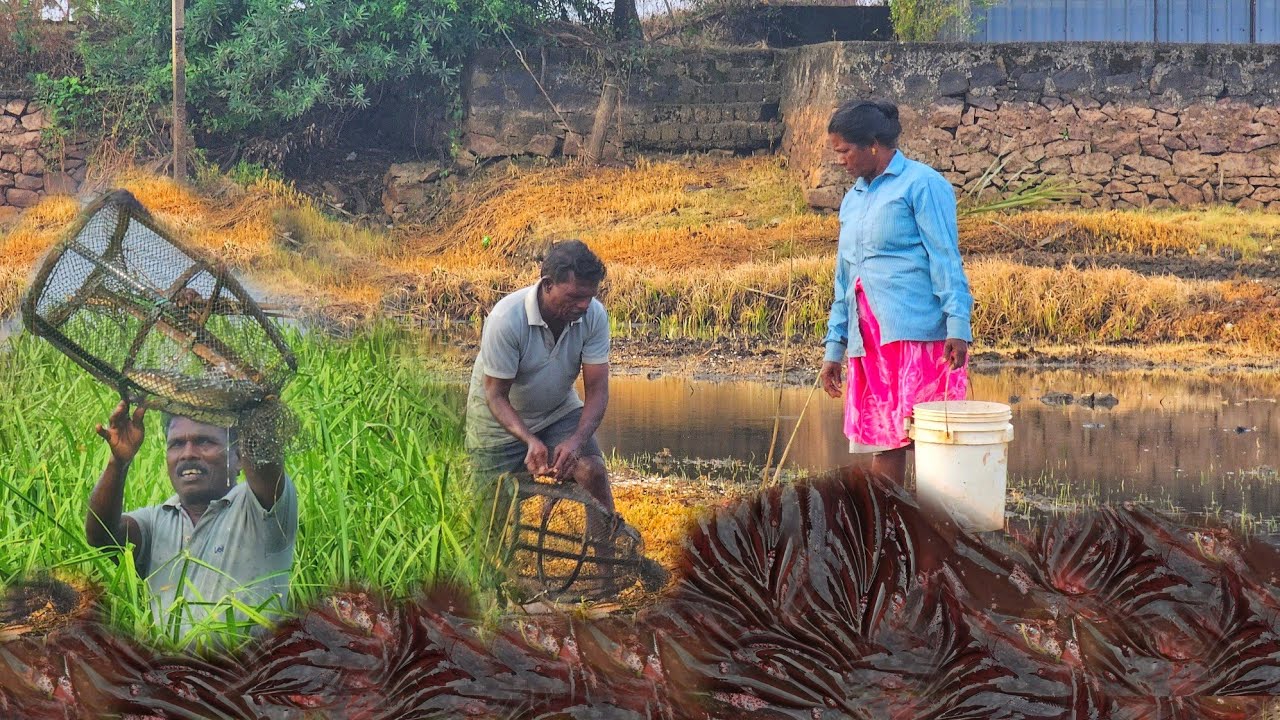 അമ്മയും അച്ഛനും ഉള്ളപ്പോൾ മീൻ കിട്ടാതിരിക്കുവോ?|Earth lovers media |real life vlog 