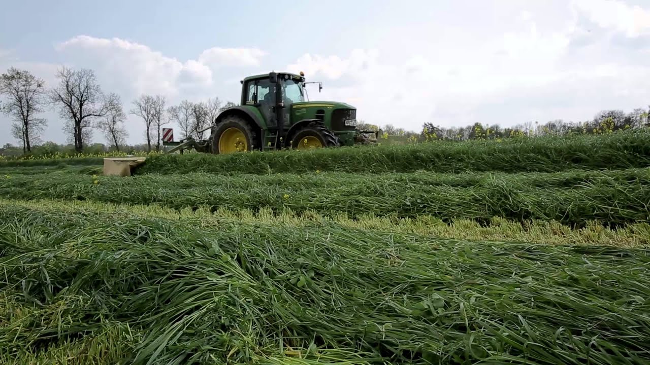 TerraLife Mieszanka Gorzowska – międzyplon doskonały