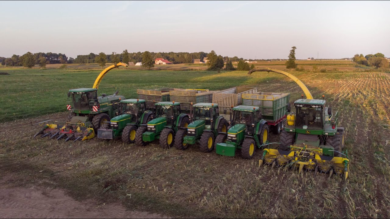 Koszenie kukurydzy ze stadem jeleni! || 6x John Deere