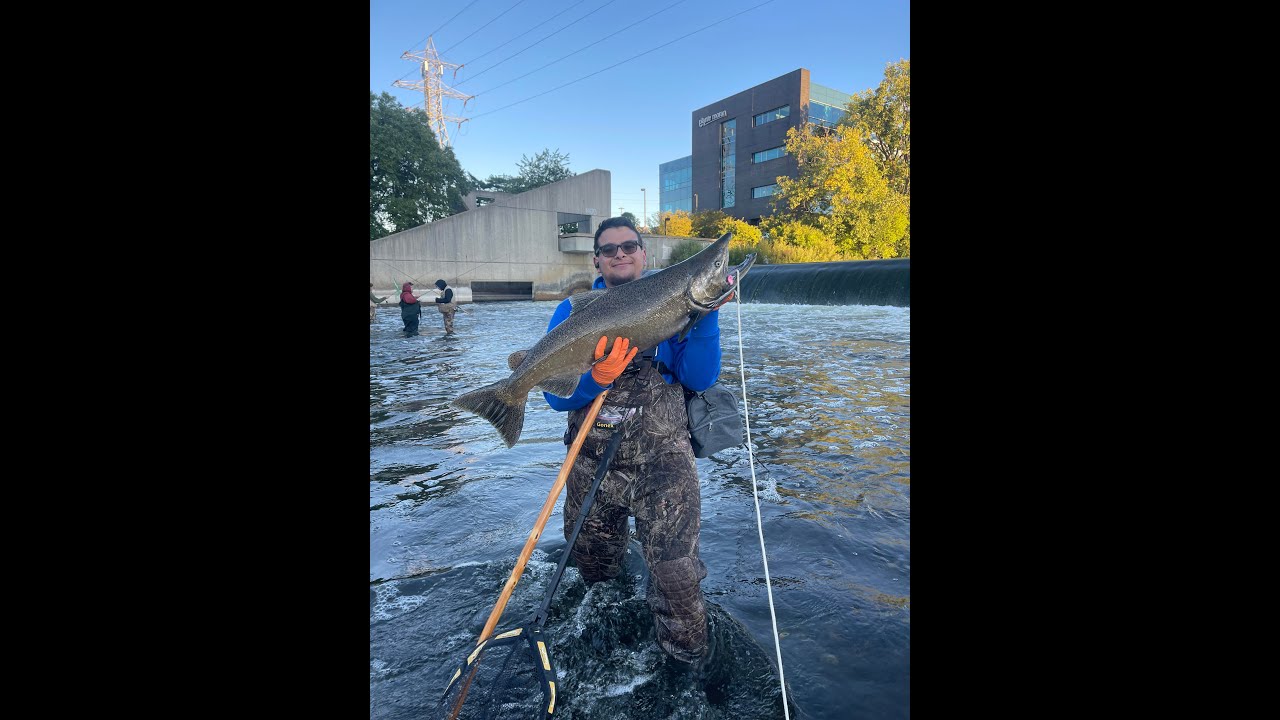 Michigan River King and Coho Salmon Fishing, September 2022!!!