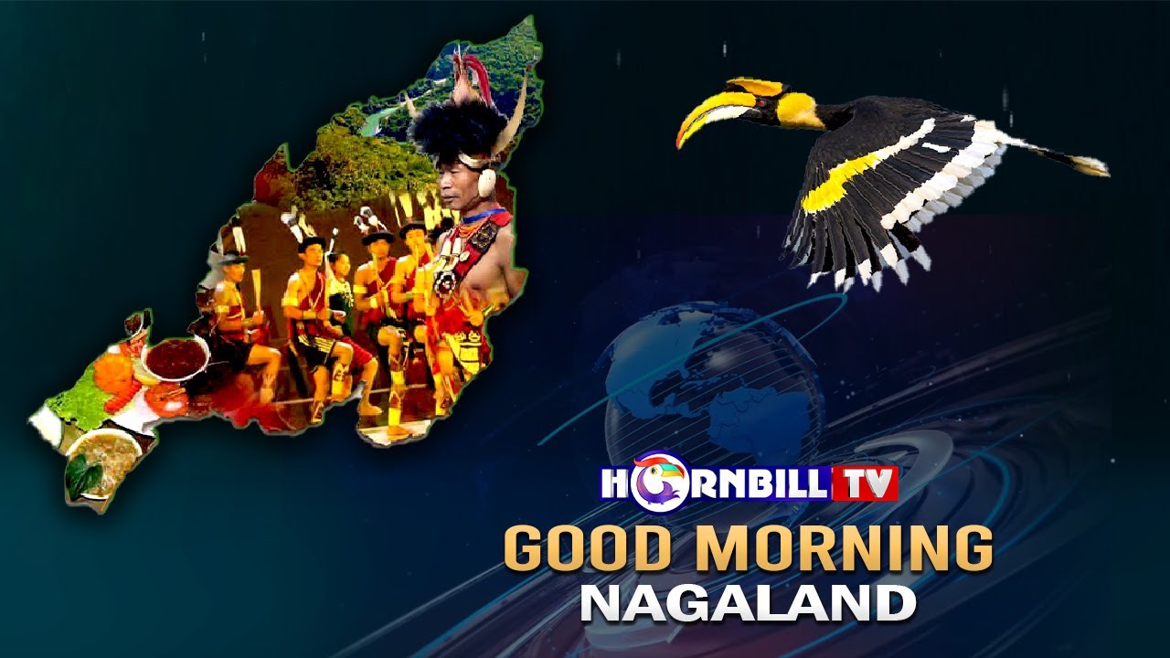MORNING PULSE || 6th FEBRUARY 2026 || HORNBILL TV