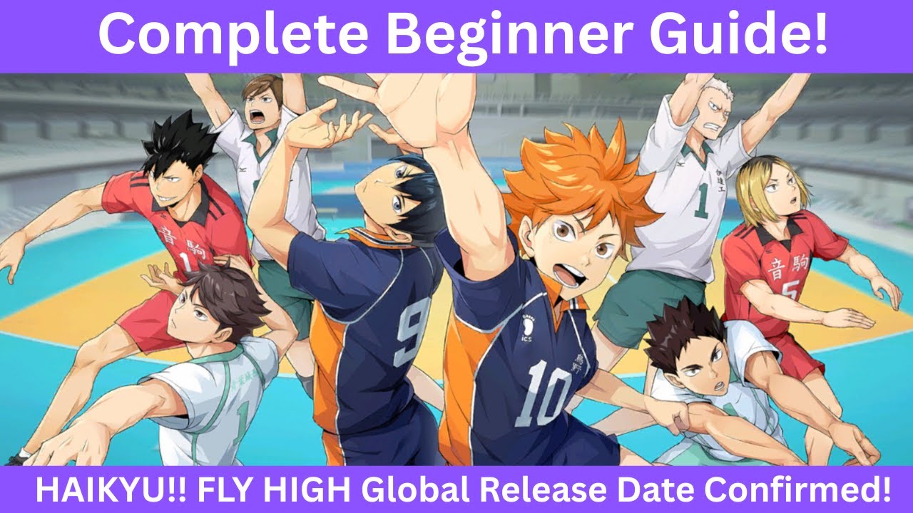 Полное руководство для начинающих! HAIKYU!! Лети высоко! Дата выхода подтверждена!