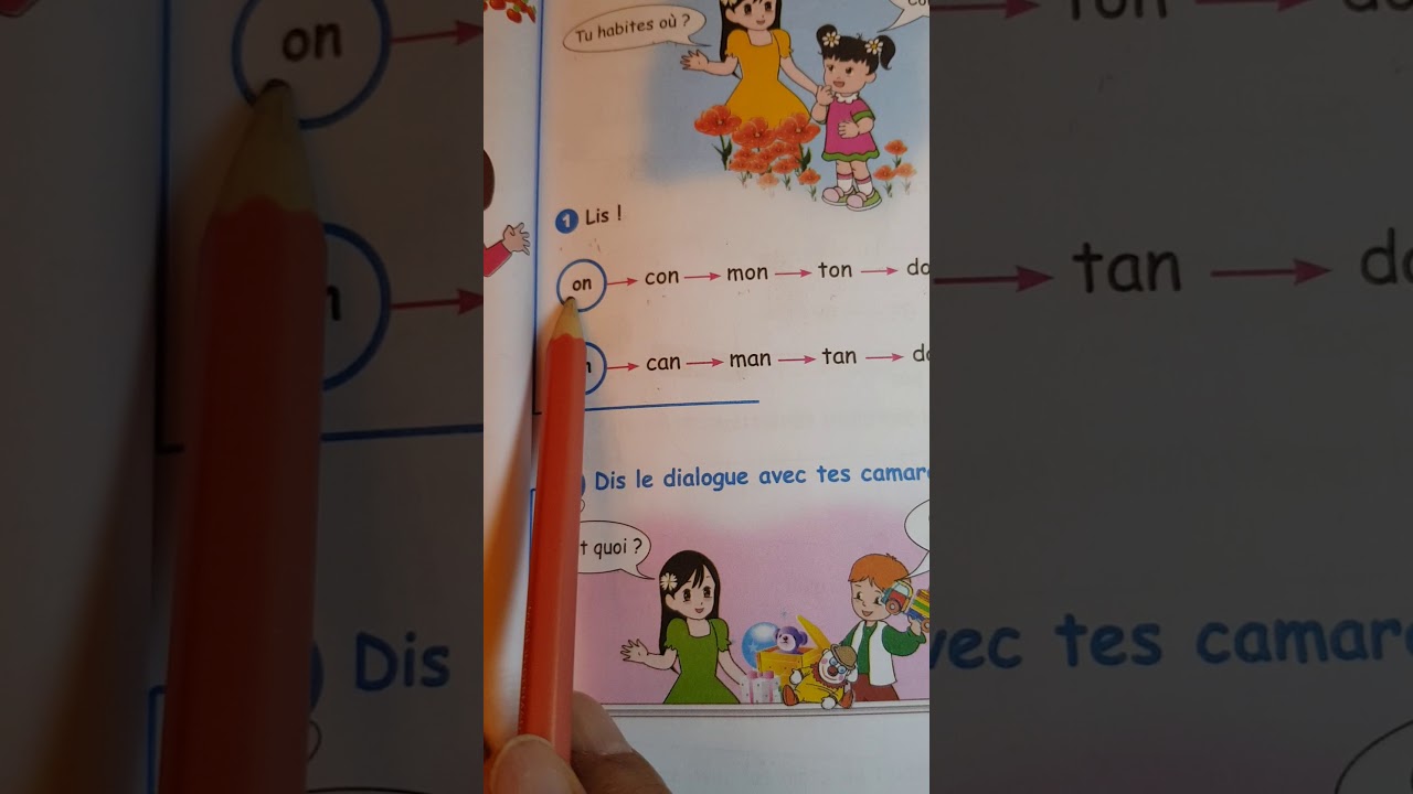 3 AP : LIVRE DE LECTURE PAGE 51