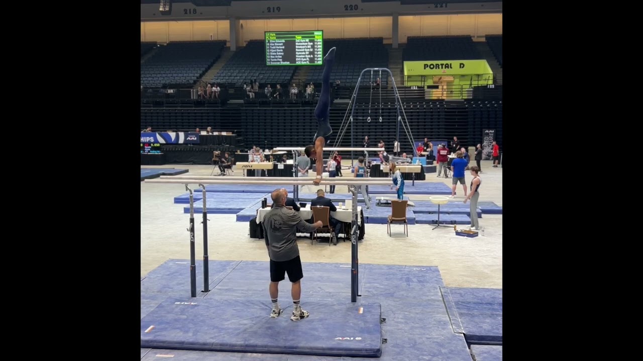 2024 USAG National Championships Level 8 Mens Gymnastics Technical Sequence