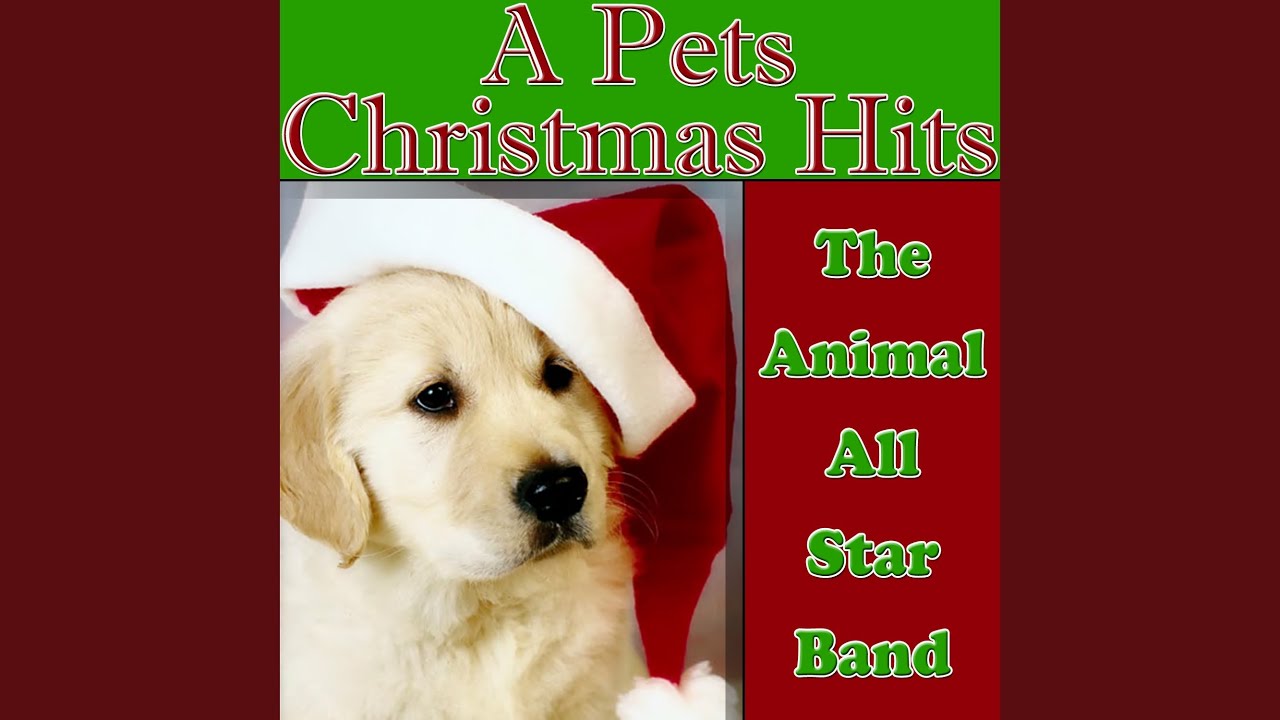 We Wish You A Merry Christmas (Dogs & Cats Sing)