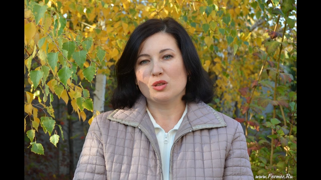 ЛПХ Ушко. Разговор о породных кроликах