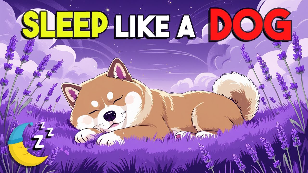 Fantasy Animal Adventure Sleep Story | Dream Life of a Brave Dog