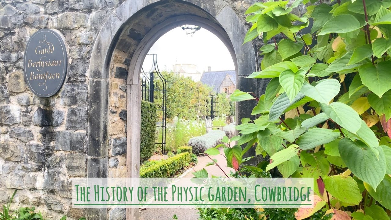 History of the Cowbridge Physic Garden |  Local History from Wales | History