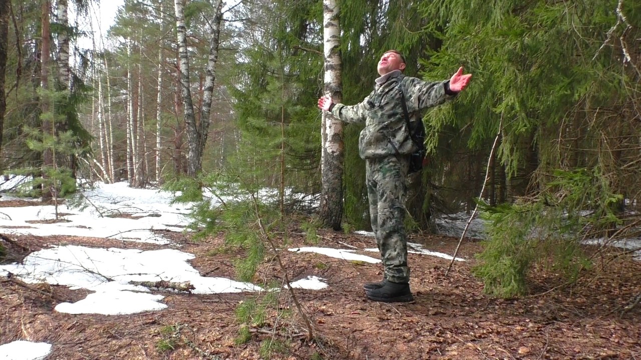 УШЁЛ В ЛЕС ЗА ЦЕННЫМ ГРИБОМ! Берёзовый сок новым способом ПРОВЕРИЛ КАК ТАМ ЗЕМЛЯНКА