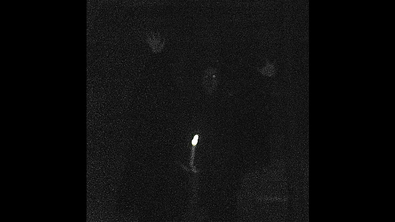 Funeral Vulva (Poland) - Carne Vescerentur Humana (Demo) 2019