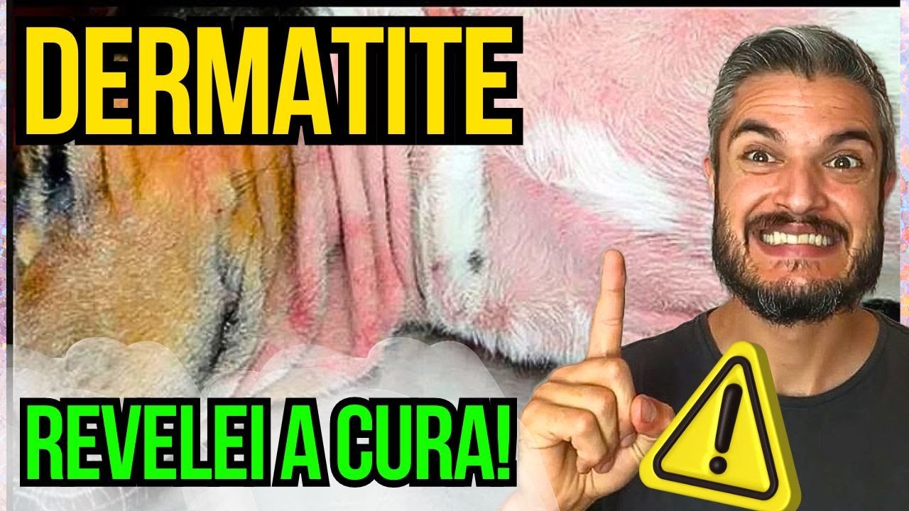 COMO TRATAR TODAS AS FERIDAS DE PELE E COCEIRAS DO CACHORRO COM DERMATITE EM CASA