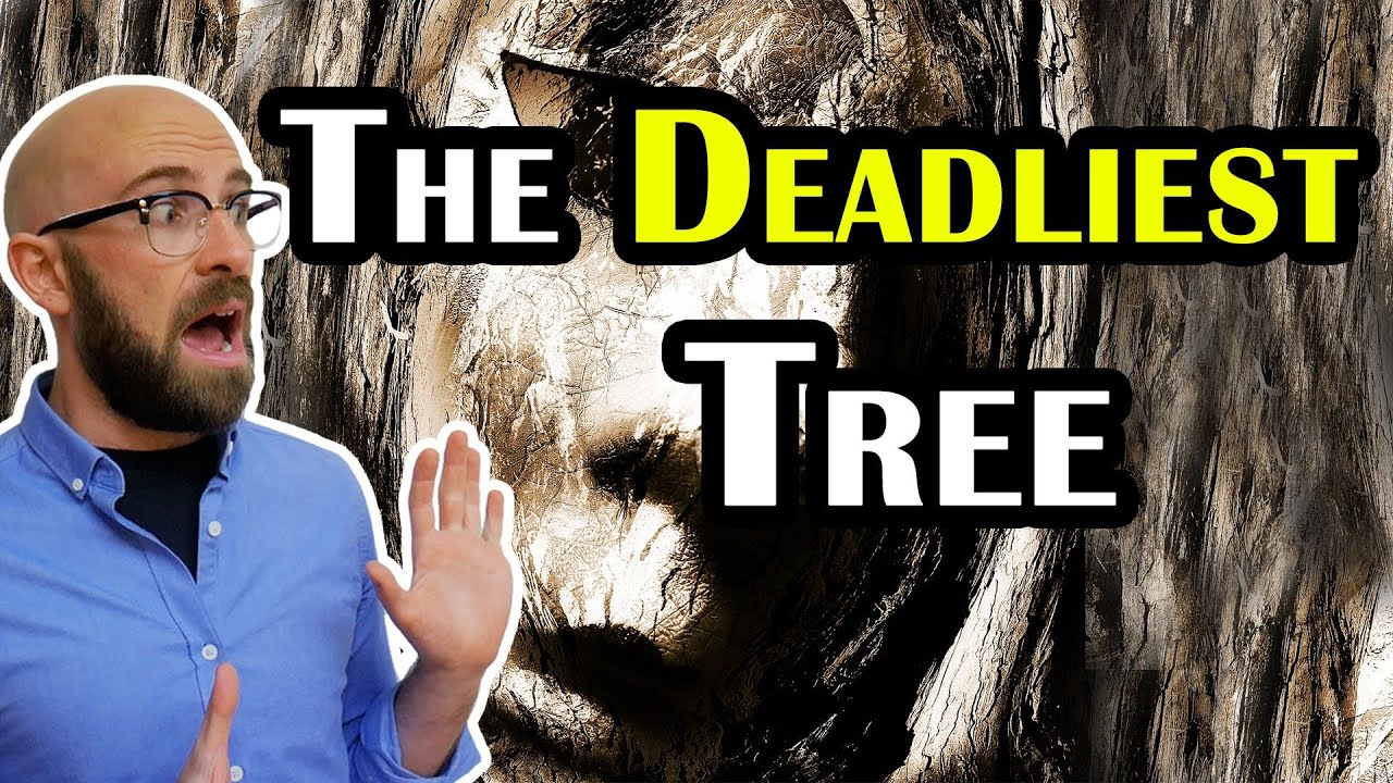 Surviving the World's Most Dangerous Tree