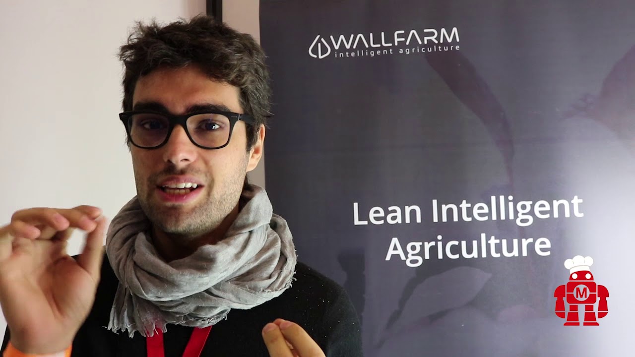 Maker Faire - Roma - 2017: Wallfarm