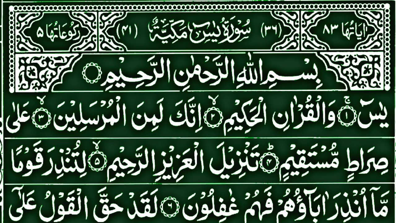 Surah Yaseen tilawat | Surah Ar Rahman with arabic Tex #quranrecitation  #yaseenrecitation