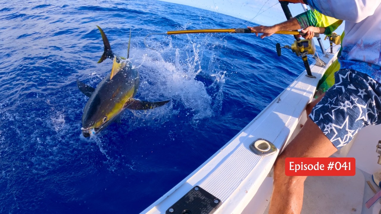 On tombe sur de GROS THONS JAUNES ! Pêche à l'île Maurice !