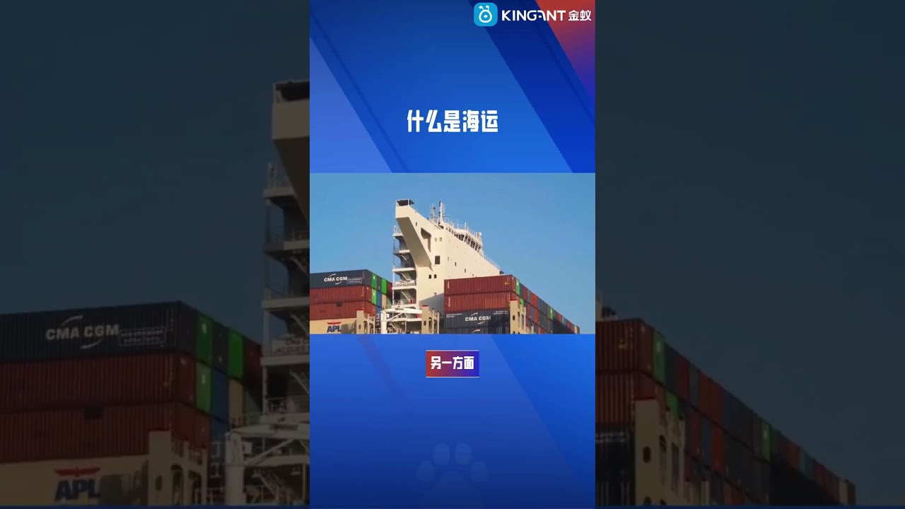 什么是海运？#国际物流 #集运 #集运系统 #海外仓系统 #wms #金蚁