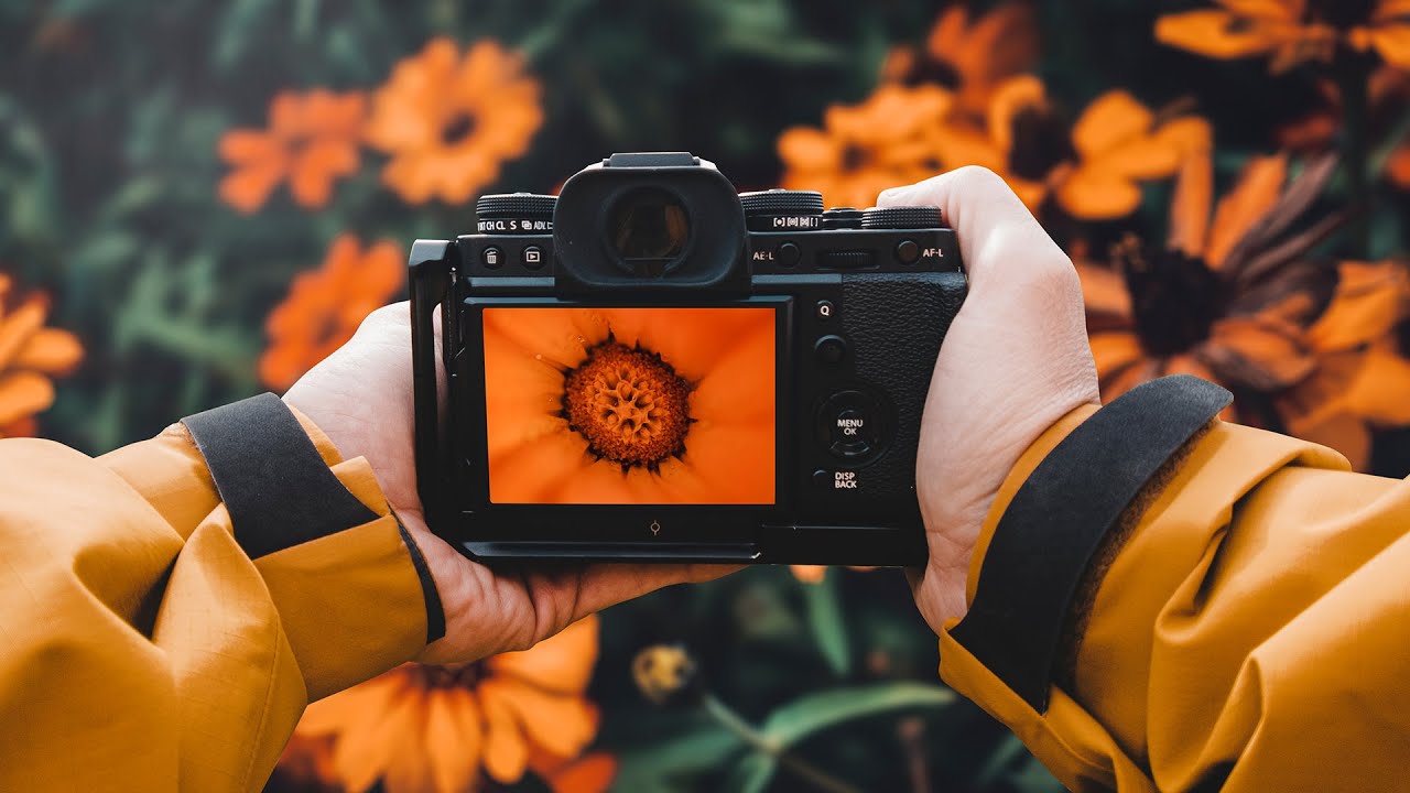 IDEAS Creativas de Fotografía MACRO en el Jardín 🔎