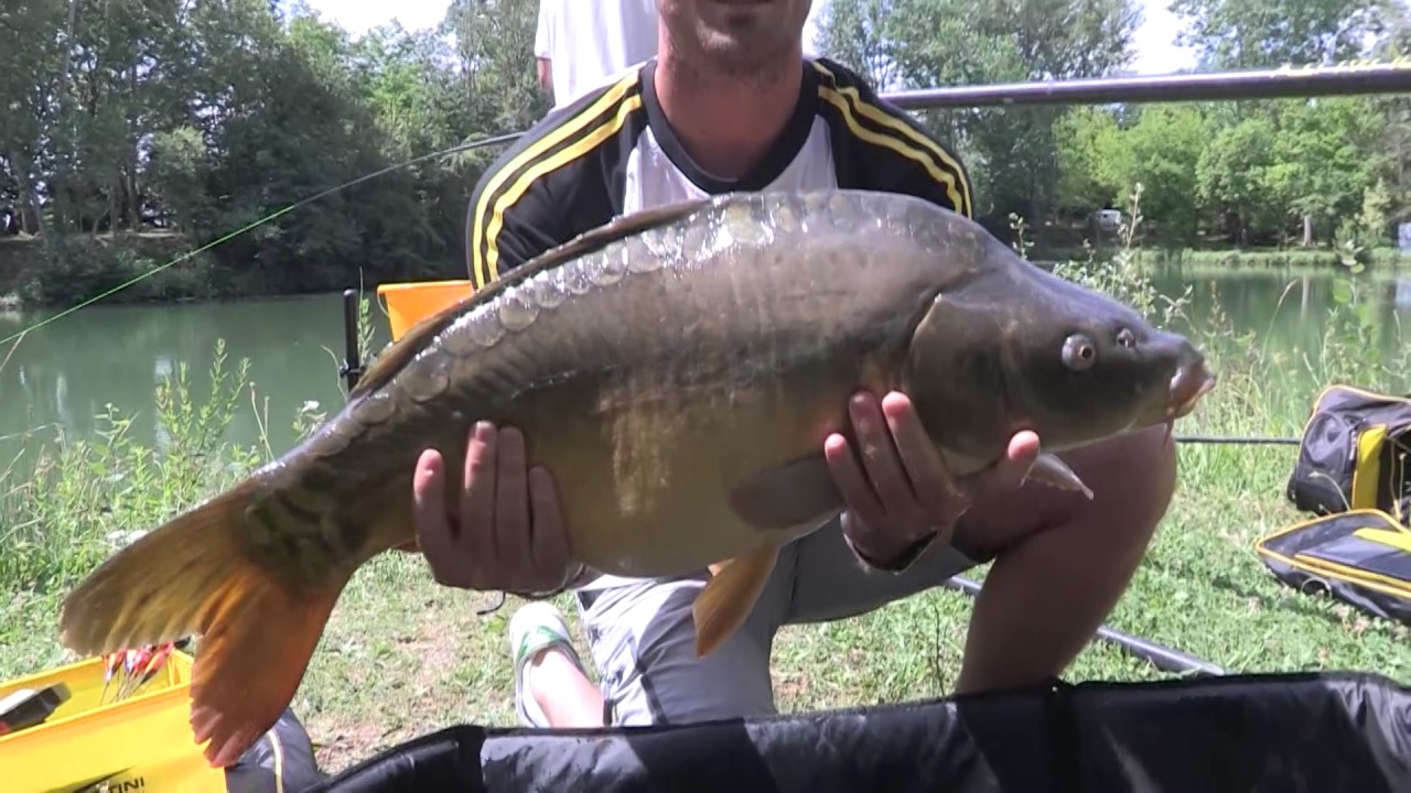 Tubertini - Roubasienne e Big Fish