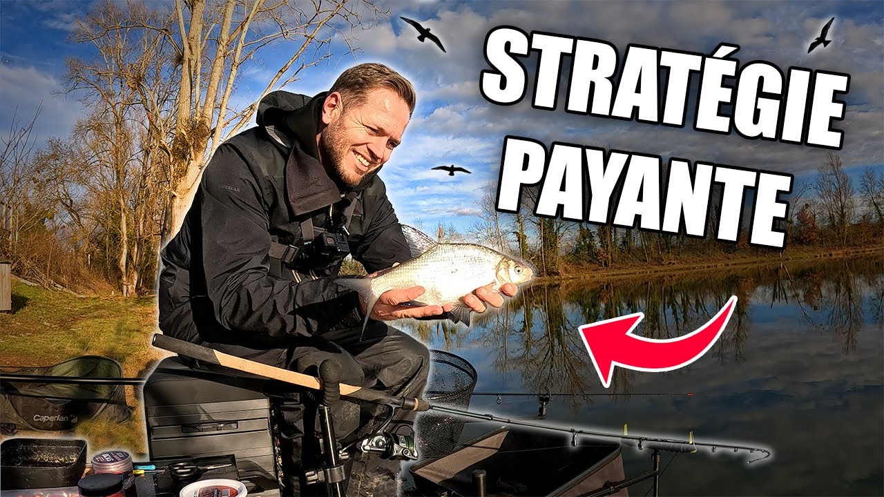 Ma Stratégie feeder qui a fait la Différence !