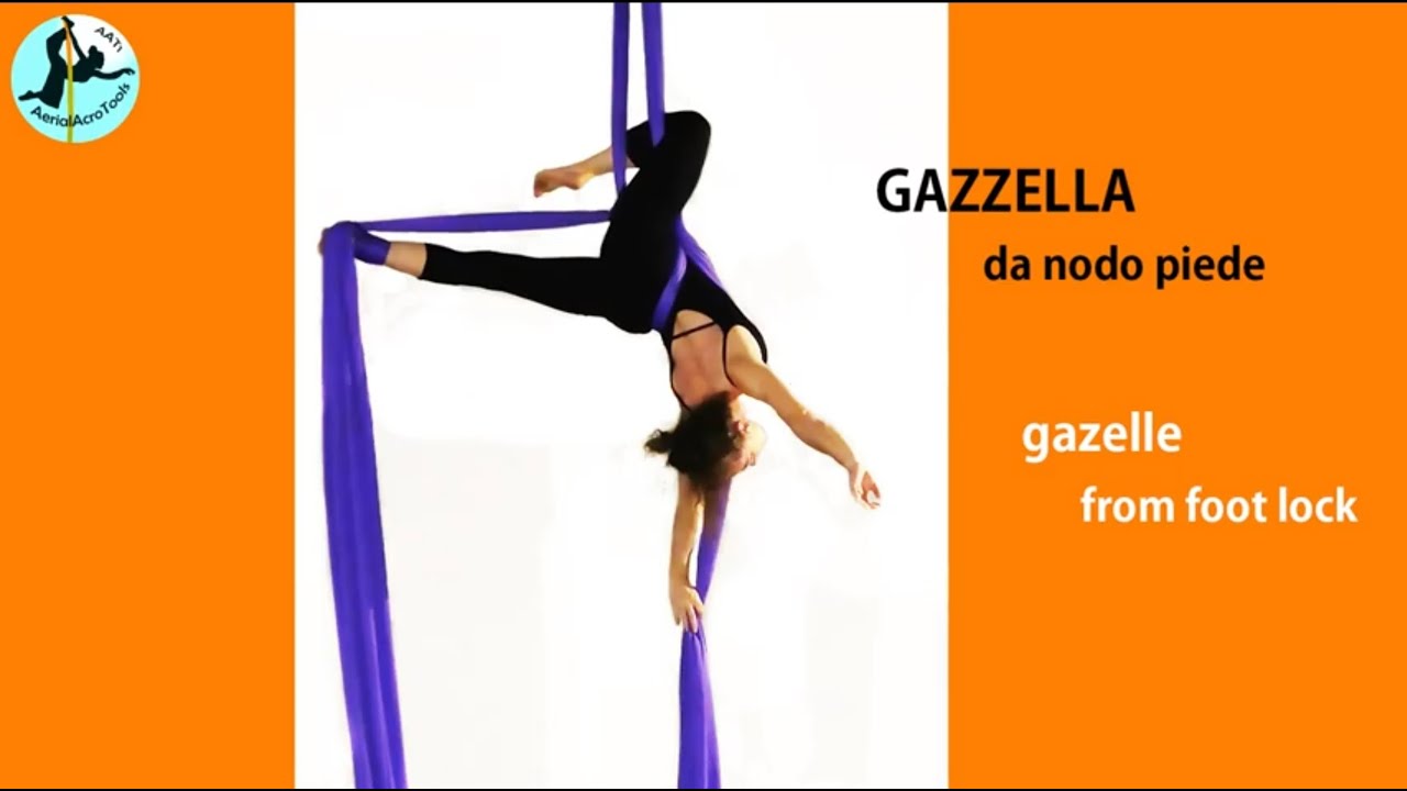 LA GAZZELLA TESSUTO AEREO Gazelle Pose