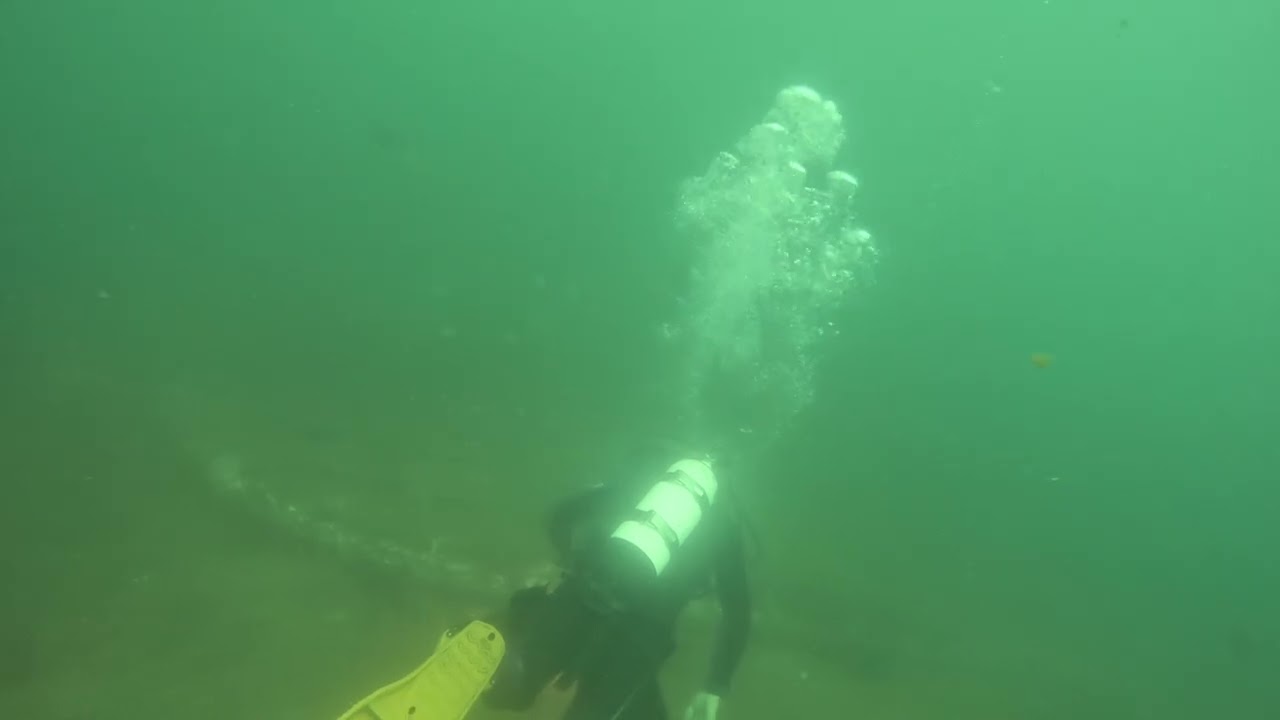 Ex-HMAS Brisbane Wreck Dive, December 2025 (Dive 1)