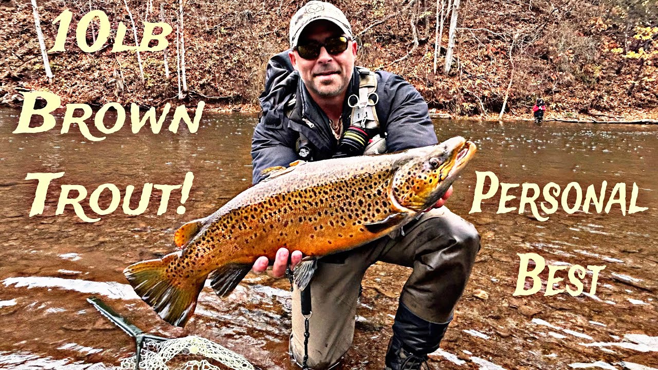Oak Orchard River - 10lb Brown Trout