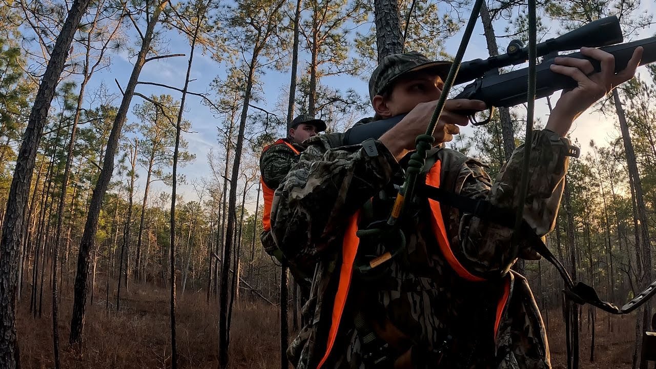 Searching For Alabama Bucks - (Saddle Hunting Public Land)