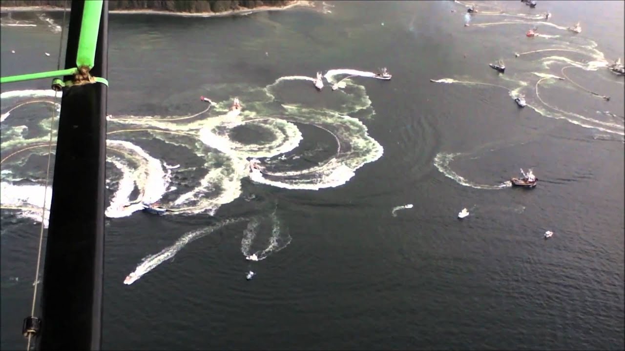 Sitka Herring Opening # 2 - The full shootout - From the air - April 1, 2011