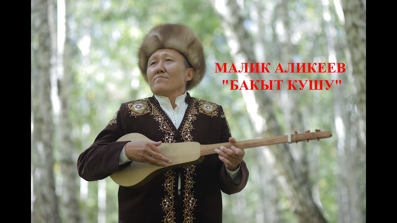 МАЛИК АЛИКЕЕВ 
