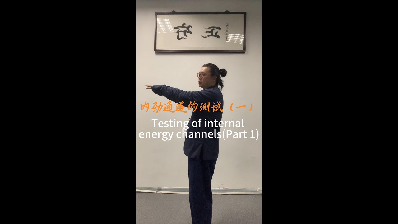 内劲通道的测试（一）#kungfu #martialarts #chineseculture #内劲 #太極拳 #武術