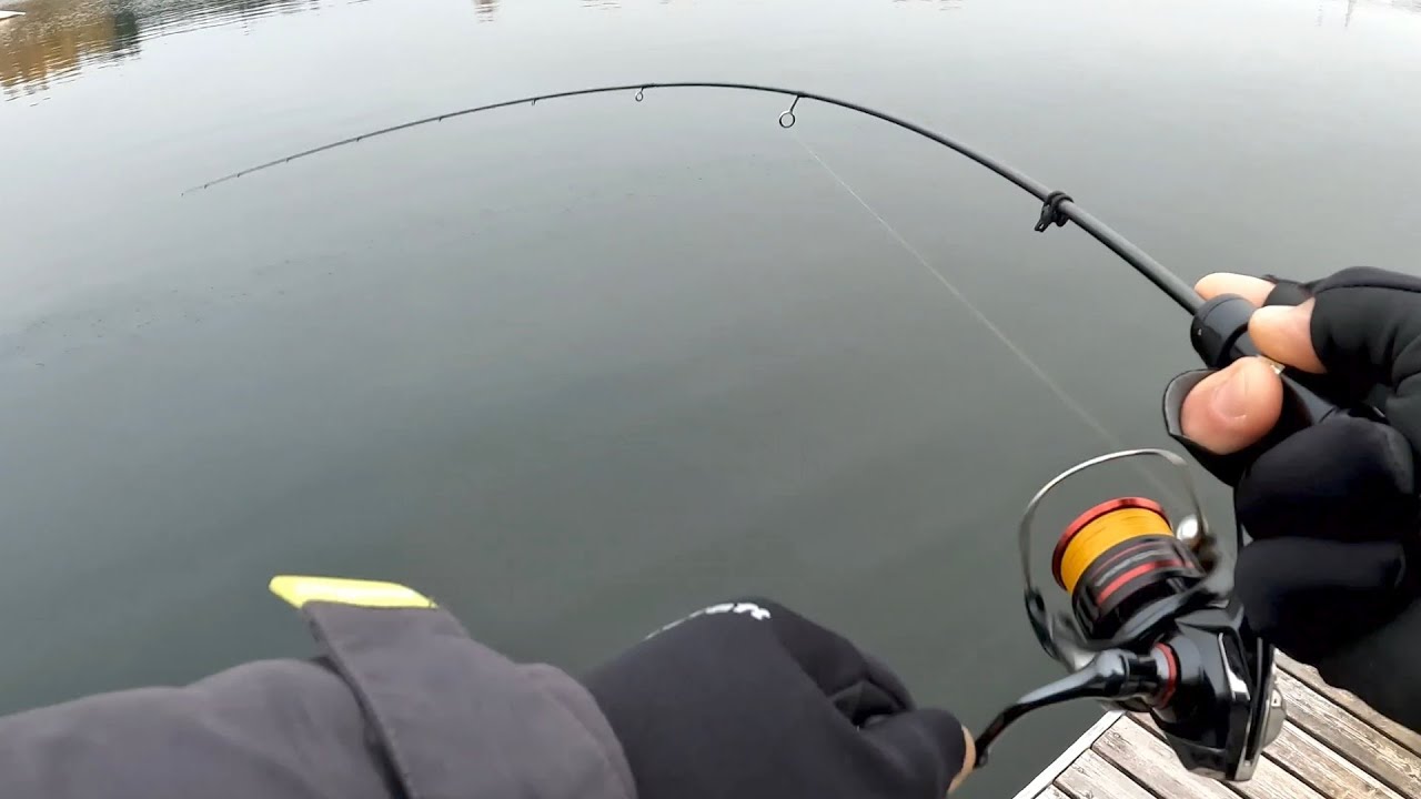 Šaudyklės ir ešeriukai (small pike and perch)