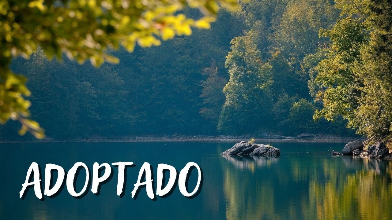 ADOPTADO | Himno Majestuoso #306 - 2&deg; Edici&oacute;n