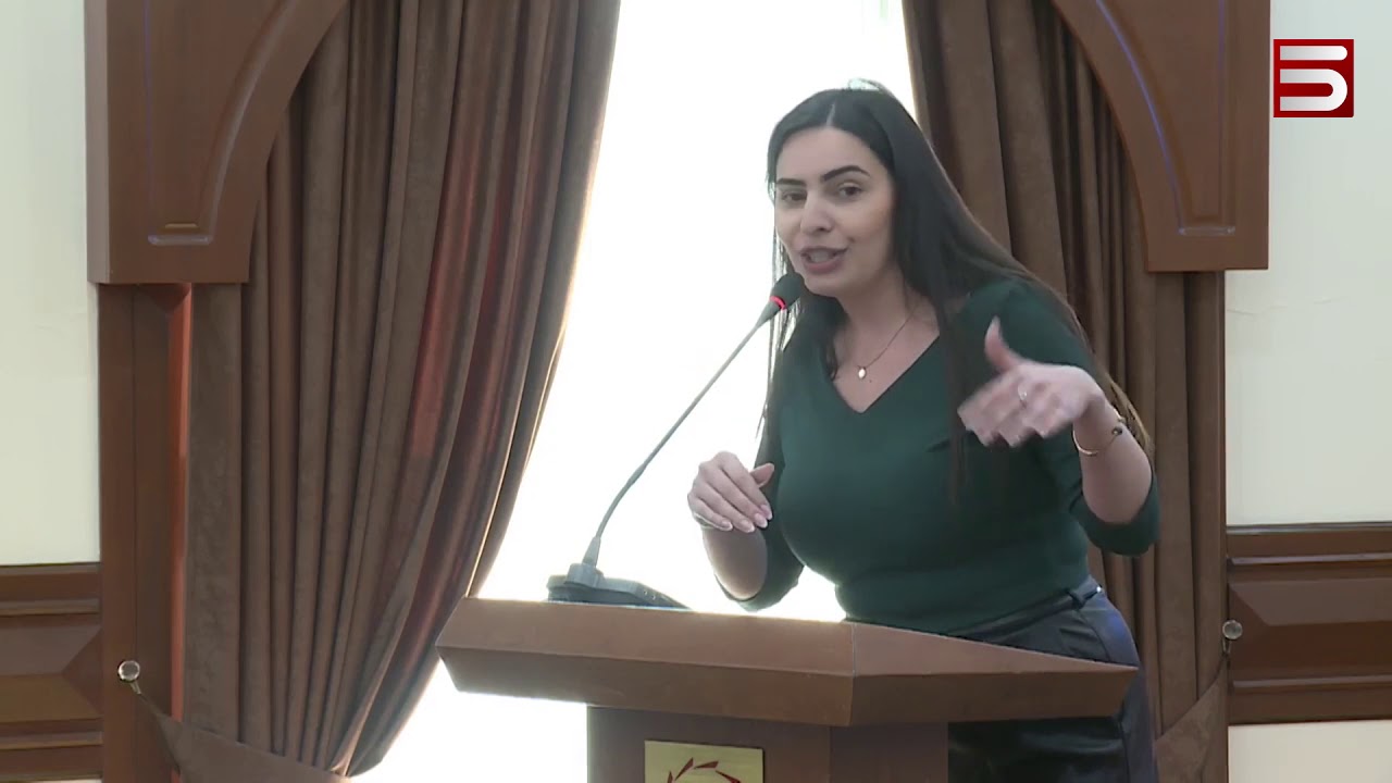 «ՊԱՐՈՆ ՔԱՂԱՔԱՊԵՏ, ՑԻՆԻԿ ՄԻ ԾԻԾԱՂԵՔ». ԵՐԵՎԱՆԻ ԱՎԱԳԱՆՈՒ ԹԵԺ ՆԻՍՏԸ