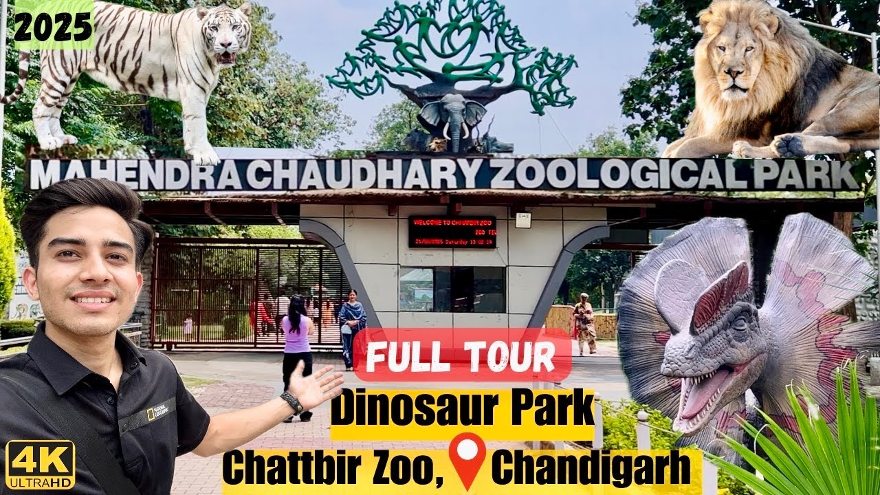 Chhatbir Zoo in Chandigarh | Full Tour 2025 Vlog | Mahendra Chaudhary Zoological Park |Nomadic Paras