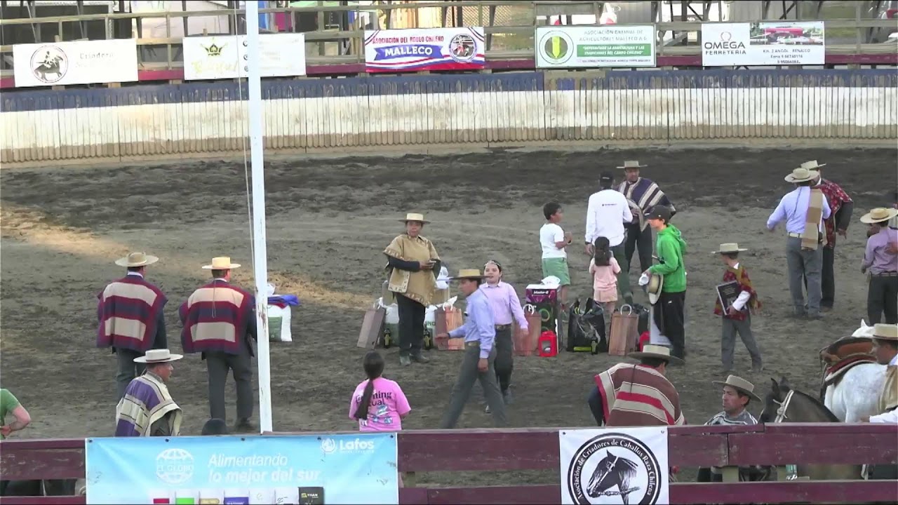 T. 25/26 | Rodeo Para Criadores | Serie Campeones | 22 y 23 de noviembre