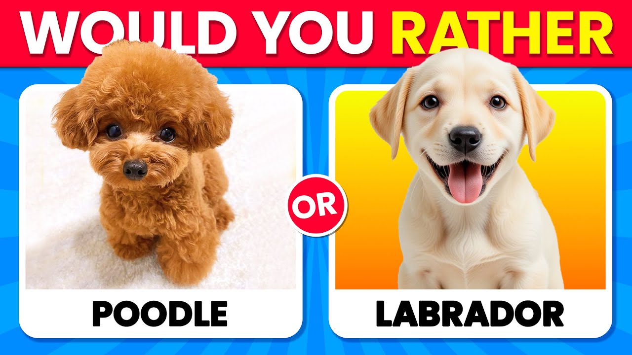 Would You Rather...? DOGS Edition 🐶🐾 Which Dog is Cuter? ❤️✨