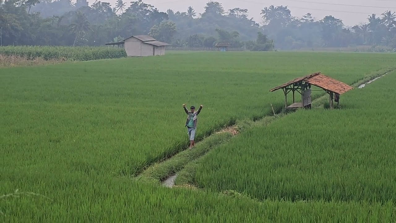 Kampung Loji, Tangkil.