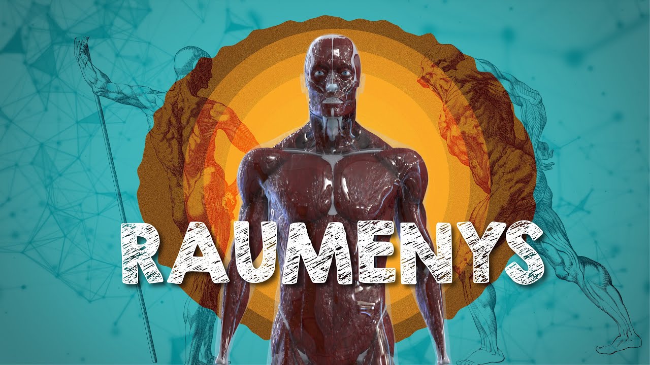 Raumenys || Dabar žinai # 12