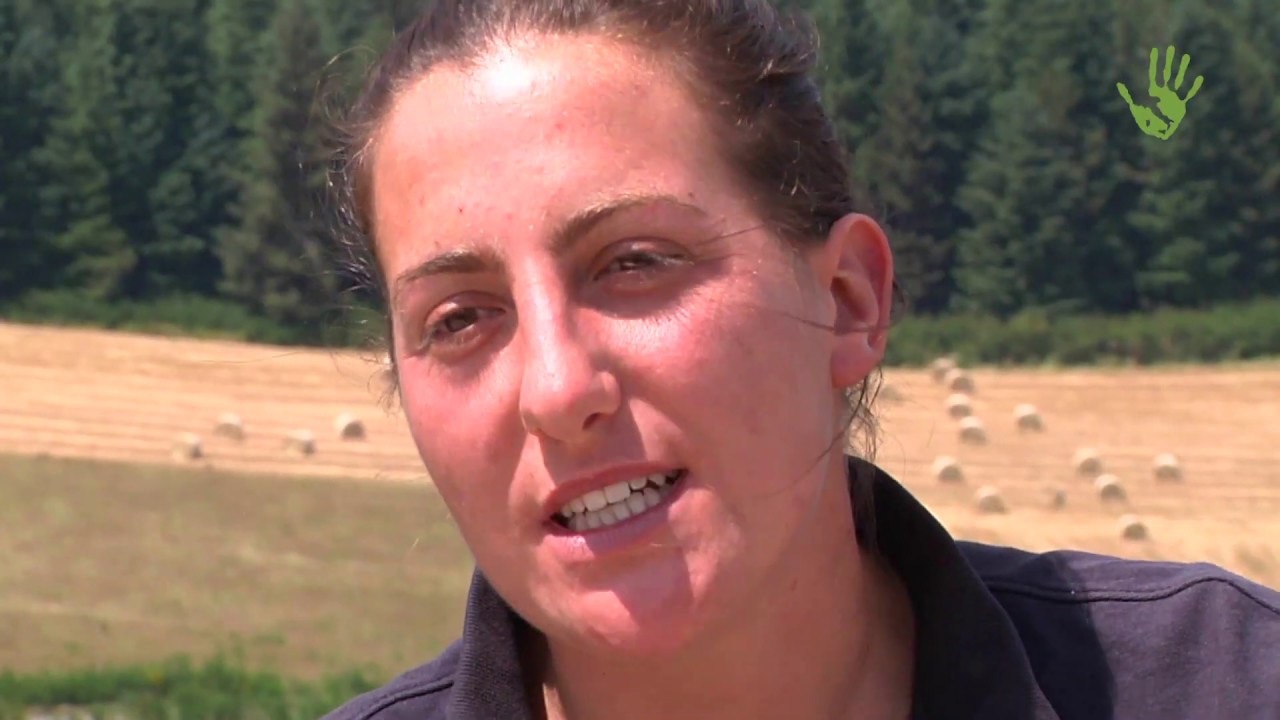 Due giovani donne restano in Calabria e allevano animali felici – Io faccio così #281