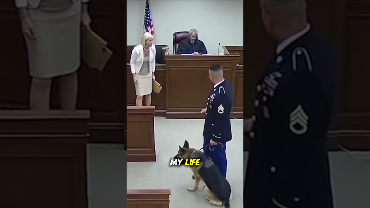 HOA Orders Soldier&rsquo;s Dog Removed?! #CourtroomDrama #HOA2026