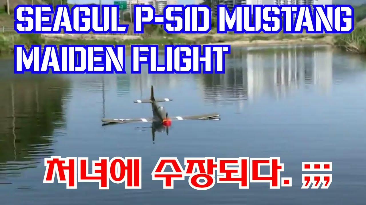 seagul P 51D MUSTANG maiden flight, 처녀에 수장되다;;;;;;